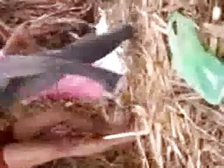 इस cuties हिंदी मूवी फुल सेक्सी मूवी पर अच्छा पेट