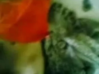 Z44B 1531 Chica भूरी आंखों वाली लड़की सेक्सी मूवी हिंदी में फुल एचडी