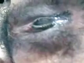 HD आबनूस लिलाना सेक्सी फिल्म हिंदी फुल एचडी उसे चिपचिपा bukkake हो जाता है