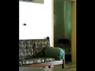 मेरी सेक्सी मूवी फुल हड हिंदी मे पहली जुबानी