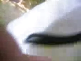 काले समलैंगिक lezdom एक dildo फुल सेक्सी वीडियो फिल्म के साथ काले लड़कियों को सजा